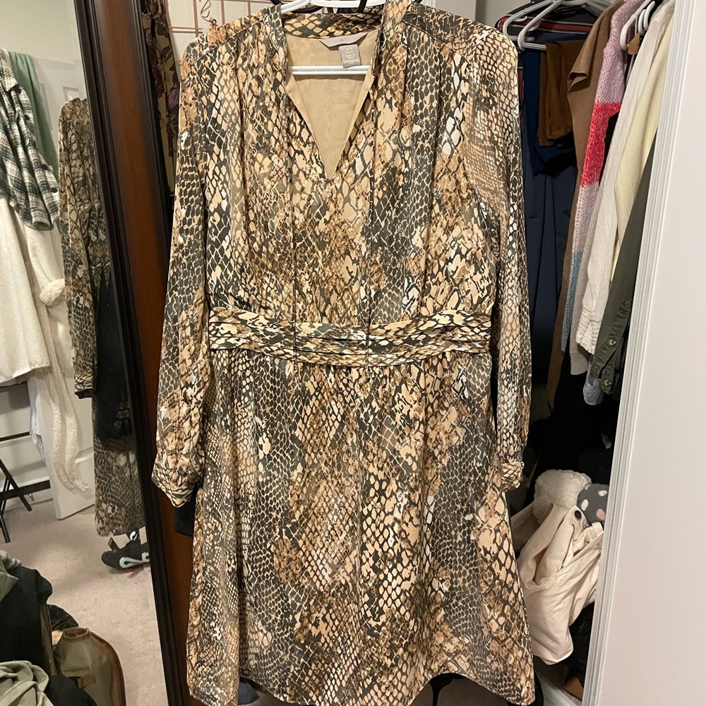 H&M snakeskin dress
